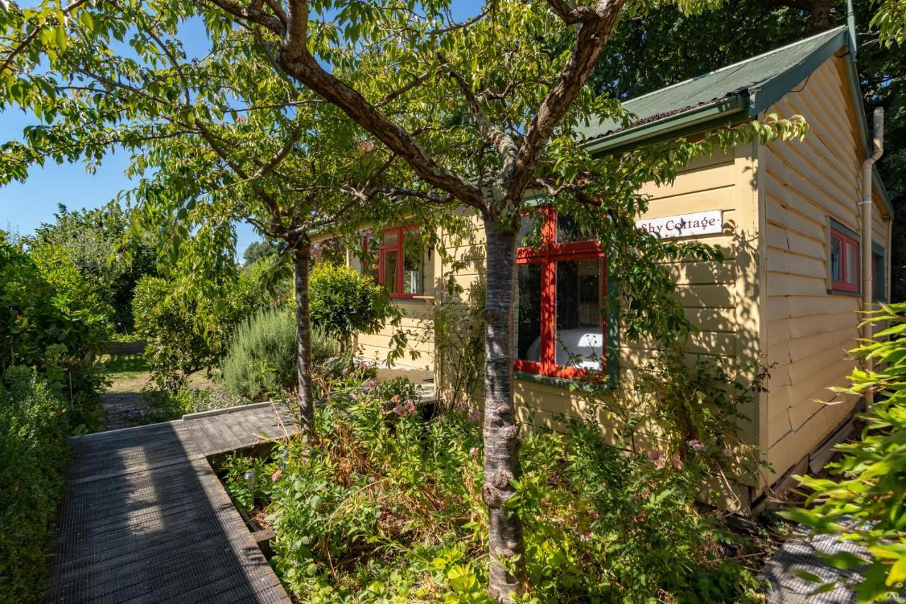 Shy Cottage And Studio Greytown Ngoại thất bức ảnh