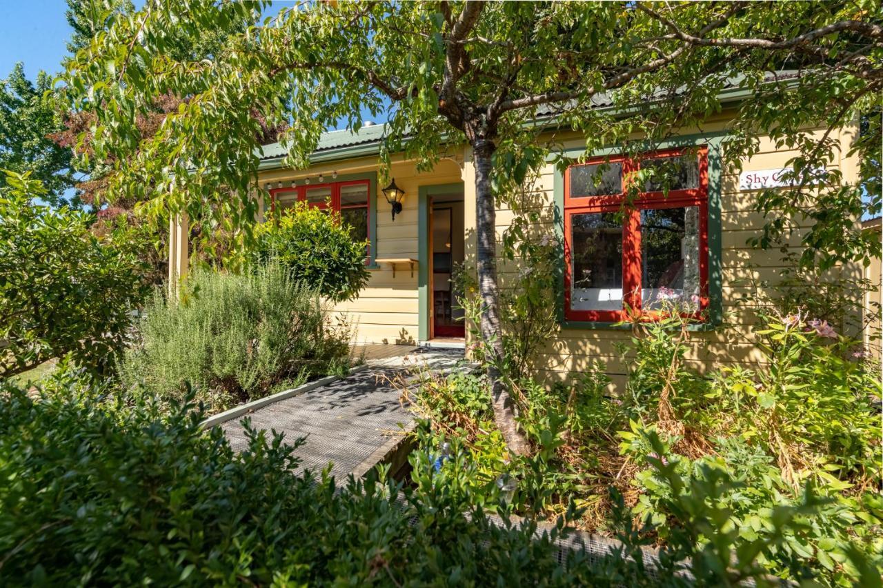 Shy Cottage And Studio Greytown Ngoại thất bức ảnh