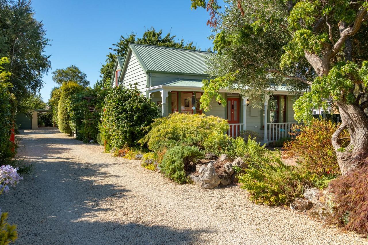 Shy Cottage And Studio Greytown Ngoại thất bức ảnh