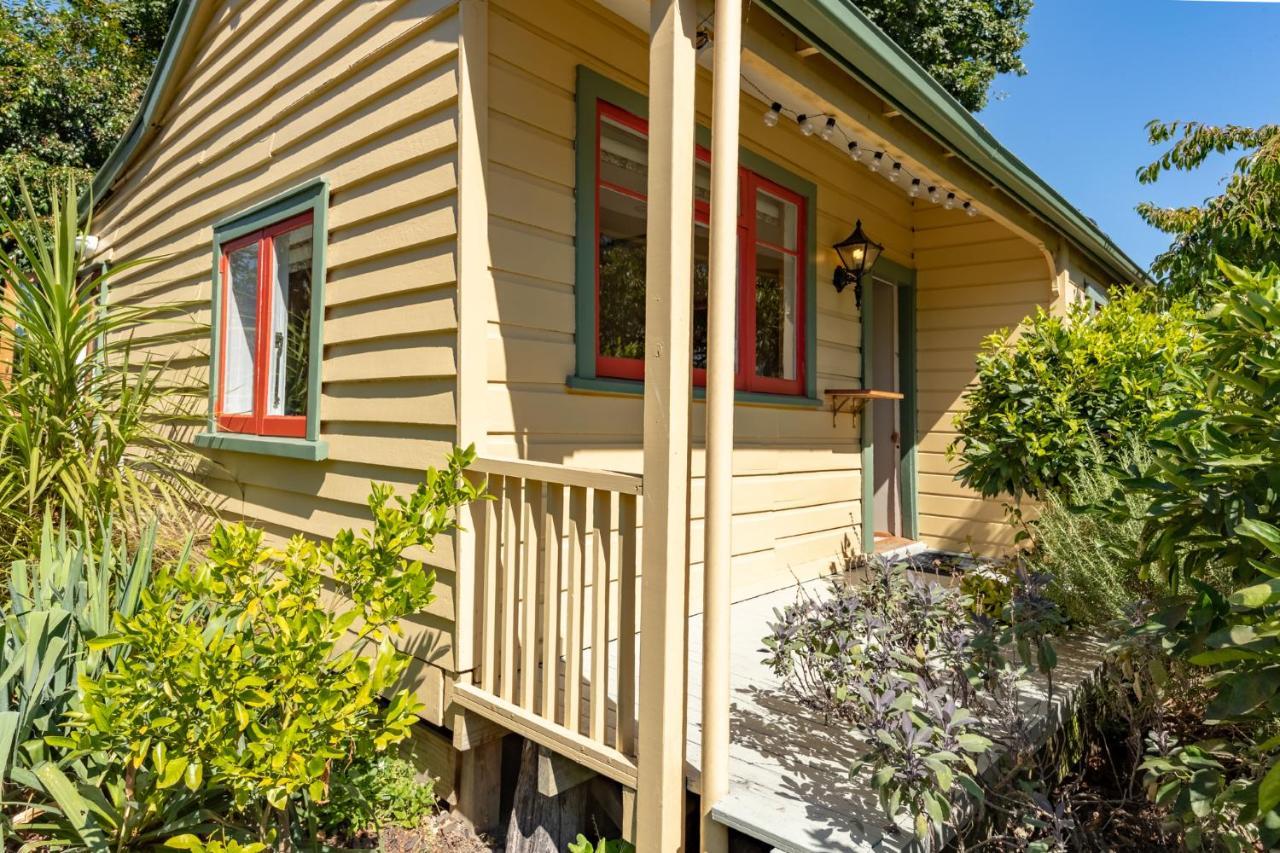Shy Cottage And Studio Greytown Ngoại thất bức ảnh