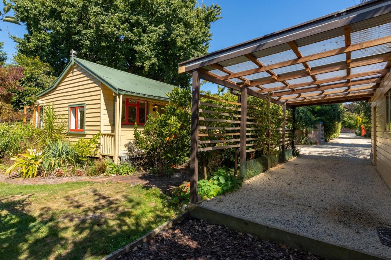 Shy Cottage And Studio Greytown Ngoại thất bức ảnh